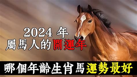 屬馬的什麼名最好|屬馬的什麼名字最好？選擇與命理相符的完美名字